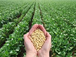 Agriculture projects